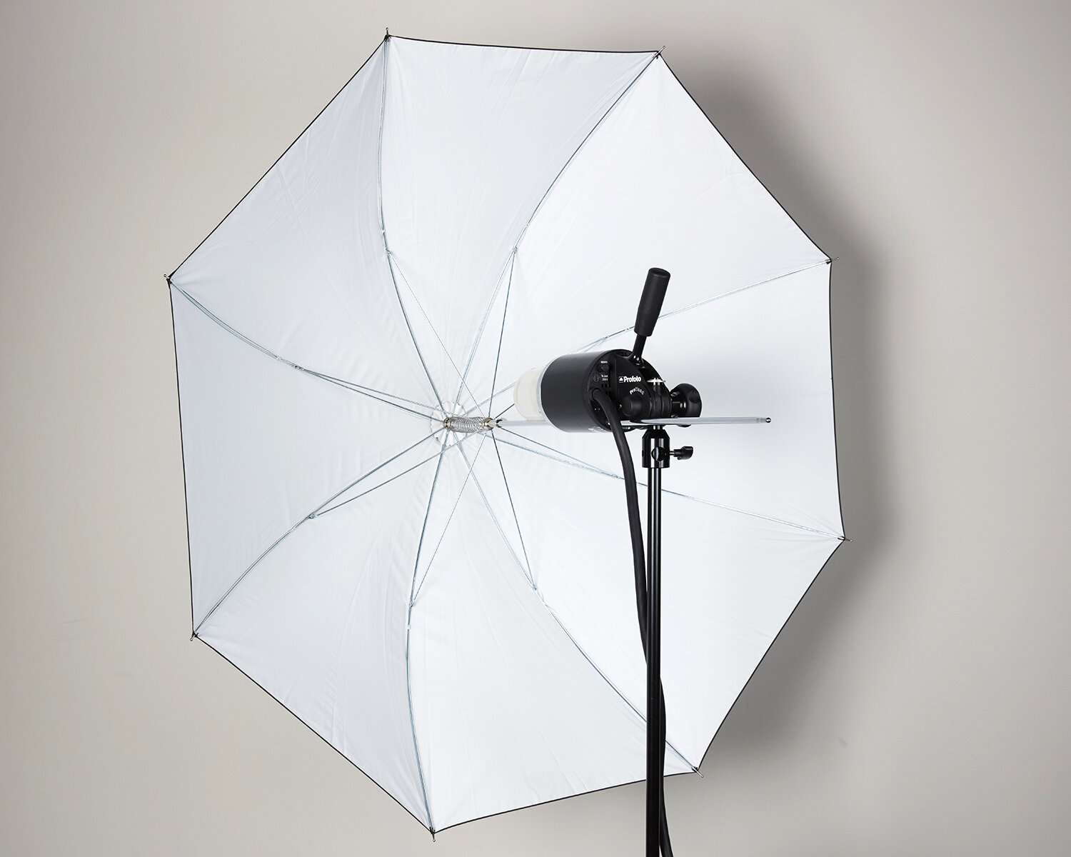 Profoto Shallow White - Medium | Album Equipment Rentals